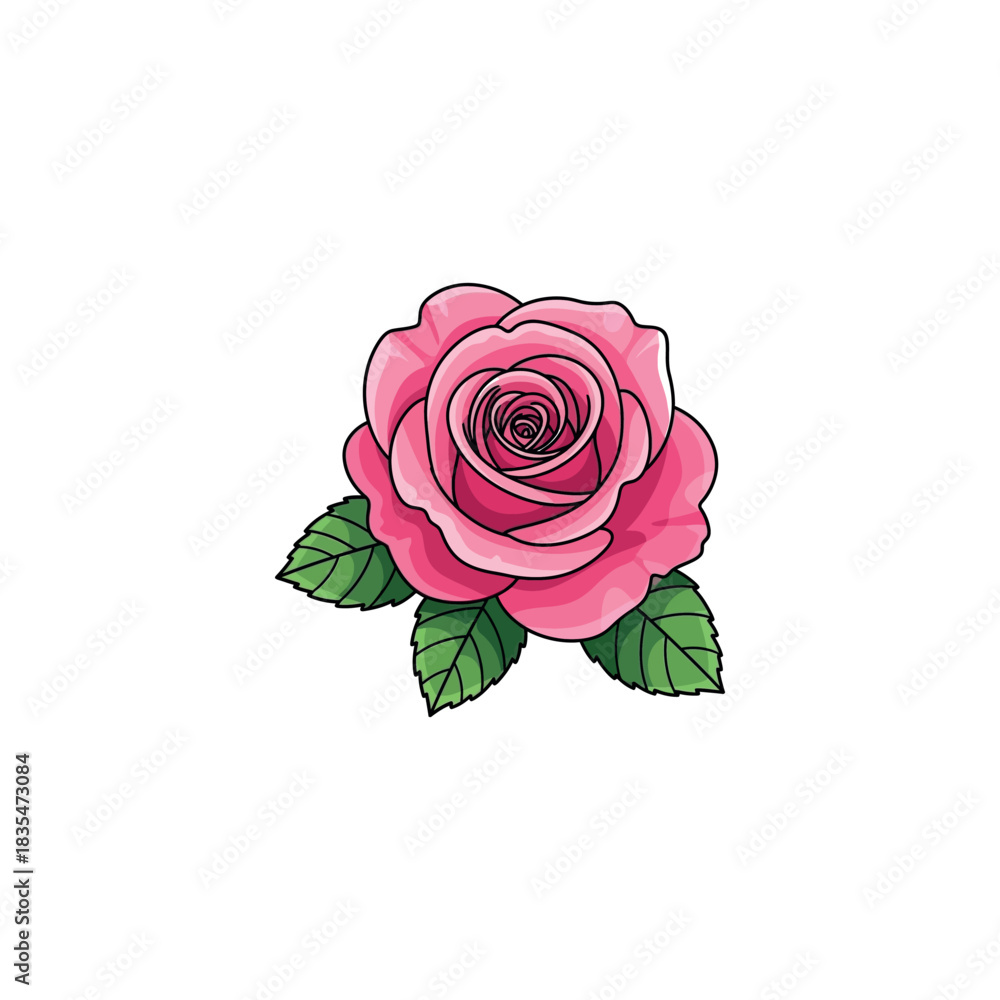 Fototapeta premium Vibrant pink rose flower with green leaf