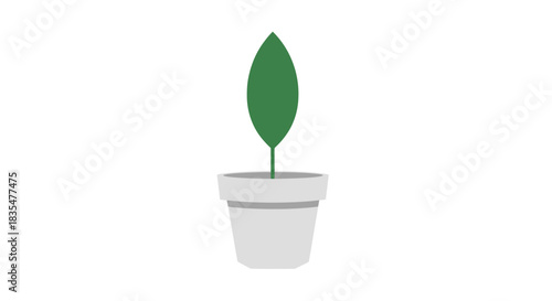 Potted plant image single green leaf in gray pot