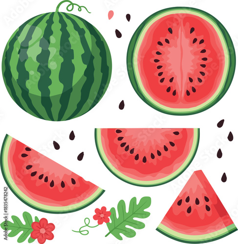 Create kinds of Watermelon summer fruit clipart set. Tropical fruit watermelon drawing in whole, slice and cut elements clip art collection vector illustration.