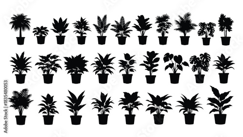 Collection of black silhouettes of various potted houseplants on a white background
