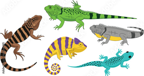 Lizard species icon set, colorful reptile and chameleon pattern collection, wildlife graphics, cad drawing flat vector illustration