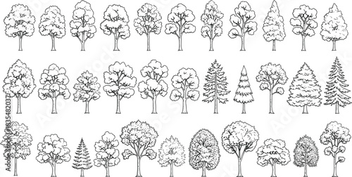 Extensive collection of hand-drawn deciduous and coniferous trees in outline Keywords: tree, trees, nature, forest, woodland