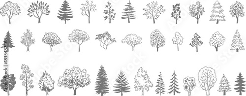 Hand-drawn collection of diverse tree illustrations in grayscale and outline Keywords: trees, illustration, hand-drawn, sketch