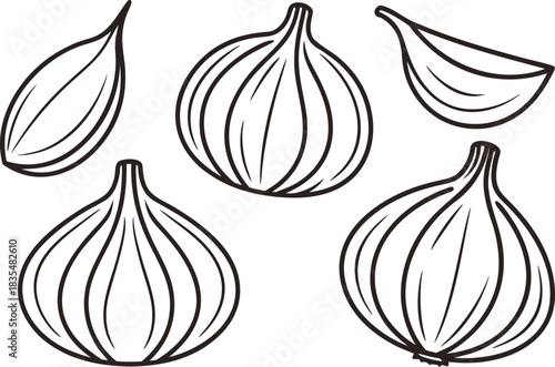 Garlic Set in Clean Outline Strokes. Fresh Garlic Set in Outline Style. Garlic Elements Set in Line Strokes. Garlic Bulb Set in Smooth Outline. Organic Garlic Set in Thin Outline. Garlic Illustration