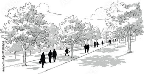 People walking on a tree-lined path in a park with dappled sunlight and shadows trees