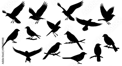 A diverse collection of black bird silhouettes, showcasing various avian species in different poses including flying, soaring, and perched, ideal for wildlife, nature, and graphic design projects