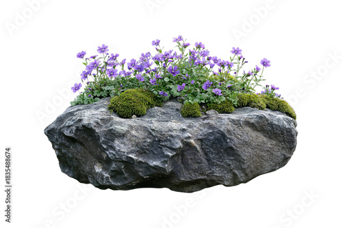 Wallpaper Mural Moss and Purple Flowers on Large Rock Torontodigital.ca