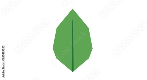 Free Download Simple green leaf icon with a central vein on a white background - GFXLoad
