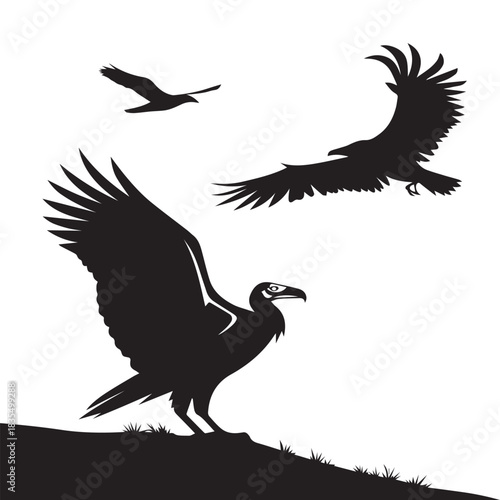 Black Flying Raven Silhouette Set Vector