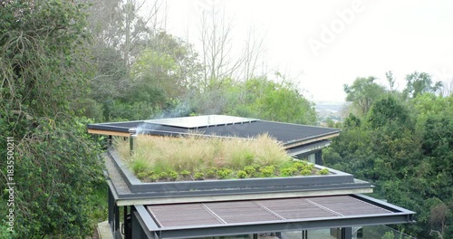 Camera panning by blossoms revealing house rooftop garden, chimney emitting smoke for atmosphere