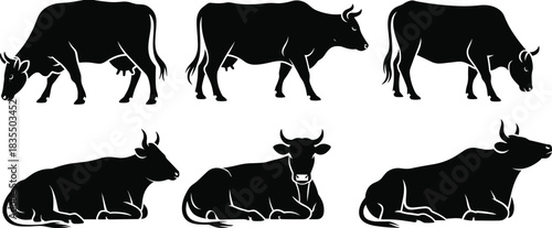PrintBlack silhouettes vector illustration set of cows in various poses, including standing, grazing, and lying down, farm animal, livestock, and agriculture graphic element.
