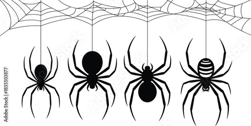 PrintBlack silhouettes vector illustration set of four different spiders hanging from a detailed spiderweb, Halloween, scary insect, horror, and nature graphic element.