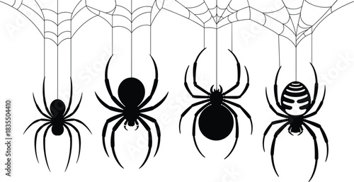 PrintBlack silhouettes vector illustration set of four different spiders hanging from a detailed spiderweb, Halloween, scary insect, horror, and nature graphic element.