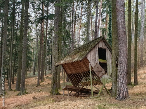 Old wooden animals feeder in the forest