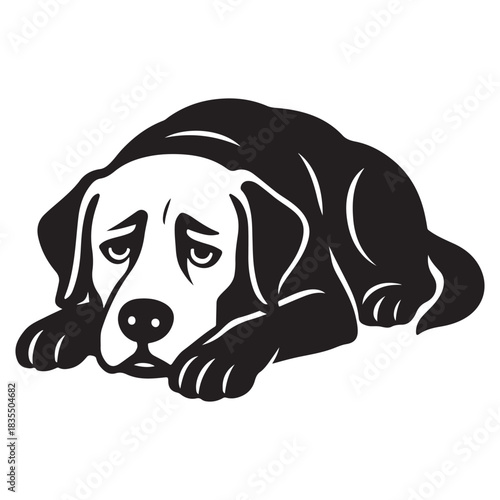 Quiet dog resting with lowered head, gentle mood, calm posture.