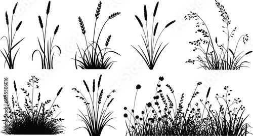 PrintBlack silhouettes vector illustration set of various grasses, cereal plants, reed, oat, wheat, and wild herbs, nature, agriculture, and botanical graphic elements.