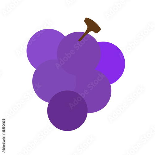 vector illustration of grapes