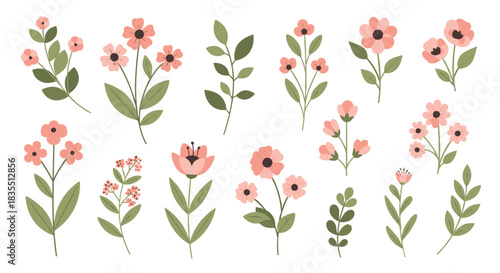 Collection of delicate pink wildflowers with green leaves on a white background.