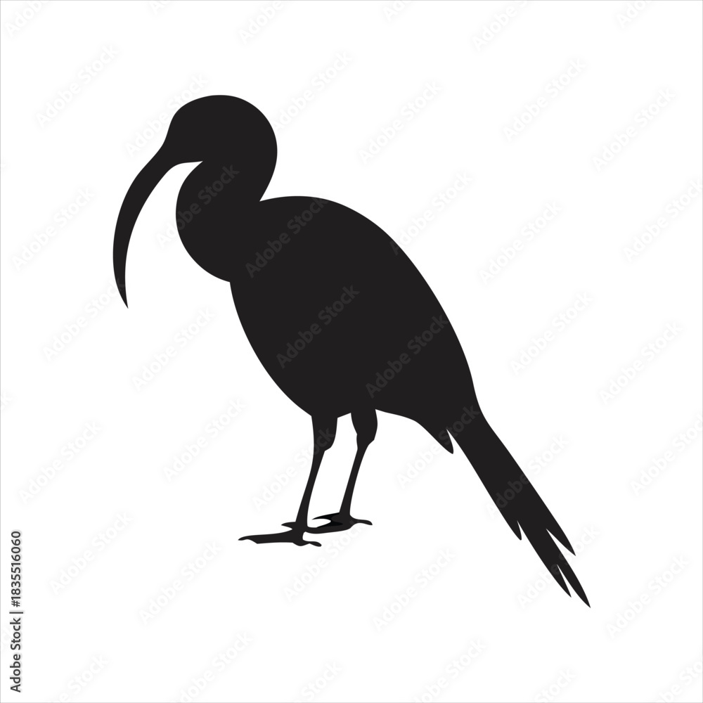 Fototapeta premium Silhouette of an Ibis bird with its distinctive long, curved beak and slender legs standing against a white background