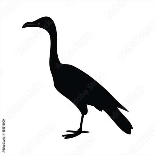 Silhouette of a bird with a long neck and beak, a graceful outline, animal illustration