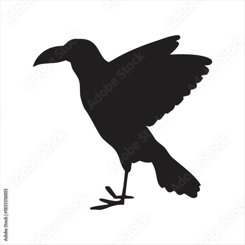 Elegant Silhouette of a Crow Ready to Take Flight A Symbol of Transformation and Mystery
