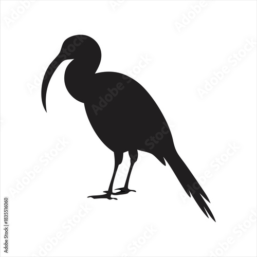 Silhouette of an Ibis bird with its distinctive long, curved beak and slender legs standing against a white background