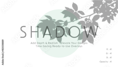 Minimalist vector art with soft mint circle and leafy branch shadow overlay behind large word shadow in gray typography on light background, subtle elegant graphic design mood