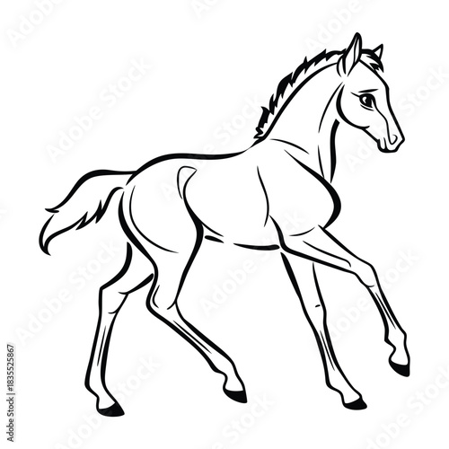 Elegant line art illustration of a playful young horse or foal in motion on a white background. Vector