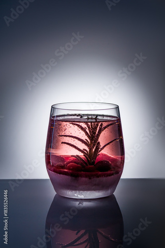 Christmas Snow Globe Cocktail with Cranberries and Rosemary in Sparkling Festive Drink, Holiday Winter Beverage Concept with Bubbles on Minimal Modern Background.