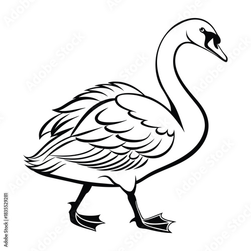 Stylized line drawing of a swan walking with its head turned, isolated on white. Vector