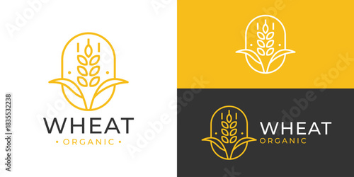 Creative simple wheat organic logo template. Organic wheat grain rice harvest logo design vector illustration.