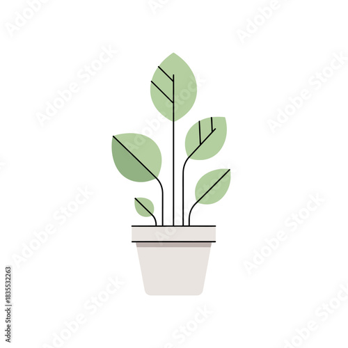 Minimalist houseplant illustration conveys serene botanical and interior decor concept