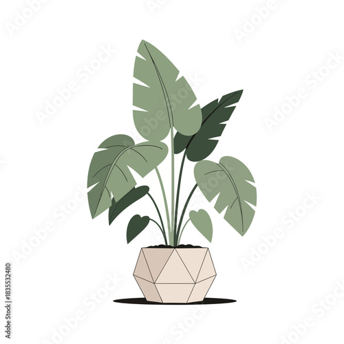 Elegant botanical illustration of a leafy potted plant conveying tranquility and sophistication in
