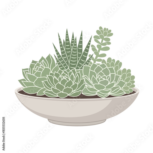 Botanical arrangement featuring diverse succulent species in a simplistic elegant container