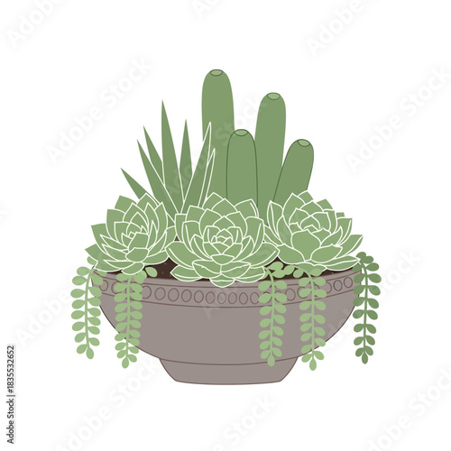 Elegant succulent arrangement in a decorative pot presenting a botanical artistic illustration