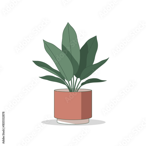 Elegant indoor plant illustration showcasing simplicity in a modern minimalist style