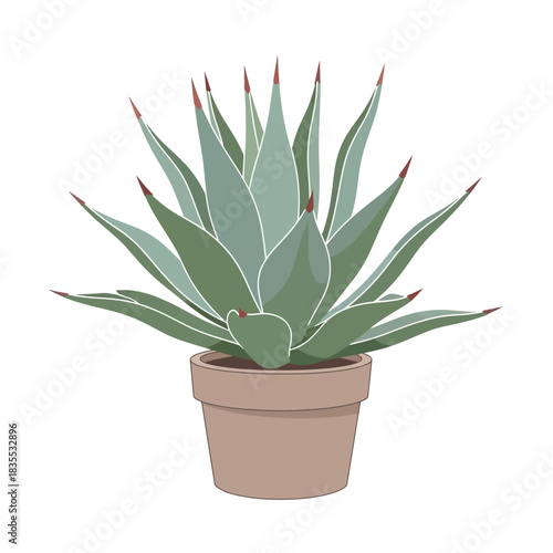 Stylized agave plant in a terracotta pot displaying botanical beauty indoors