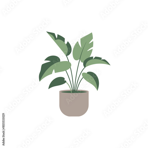 Stylized houseplant in minimalist design featuring broad leaves and smooth vectors for modern