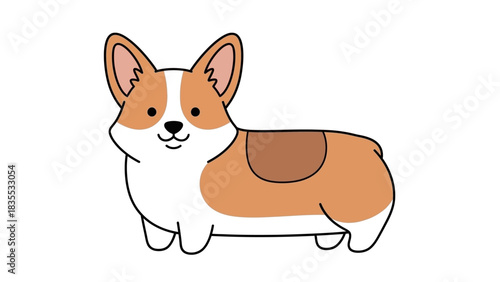 Corgi dog with tan and white fur black eyes nose and mouth