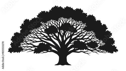 Silhouette of a dense canopyshaped tree with intricate branches against a white background