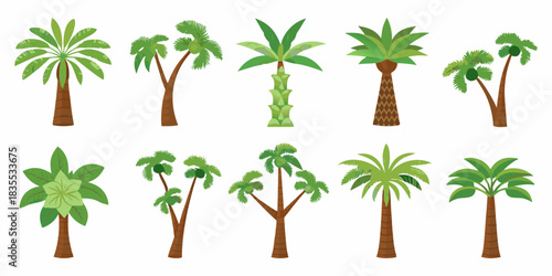 Palm tree vector illustration set for tropical design elements
