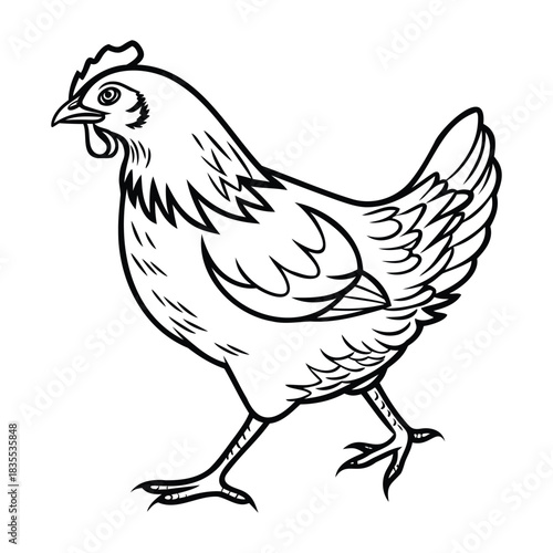 Line drawing of a chicken walking, isolated on a white background, simple and clean. Vector
