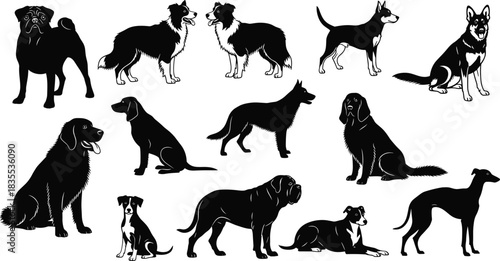Large set of black vector silhouettes of various dog breeds standing sitting and lying down isolated on white background