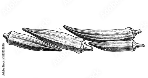 Detailed black and white illustration of whole okra pods