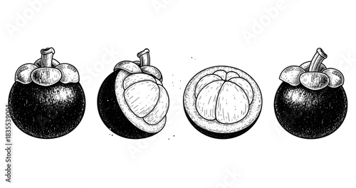 Black and white illustrations of whole and halved mangosteens