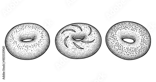 Hand-drawn bagels: classic doughnut-shaped breads with textured detail