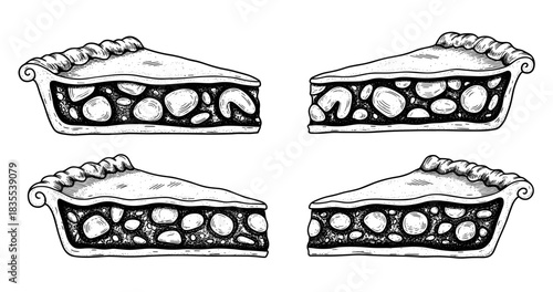 Black and white hand-drawn pie slices illustration with textured details