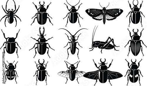 Diverse Set of Insects, Including Stag Beetles, Moths, Spiders, and Grasshoppers Vector Icons for Nature and Entomology.