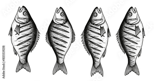 Four sketched fish with stripes on white background