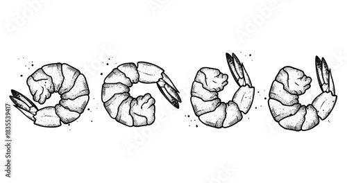 Black and white shrimp illustration with detailed texture